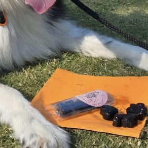 Carob Treats—Coconut Oil