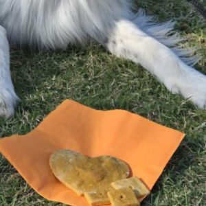 Peanut Butter Pumpkin Treats