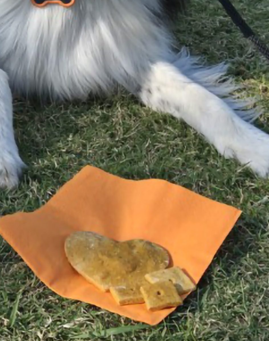 Peanut Butter Pumpkin Treats